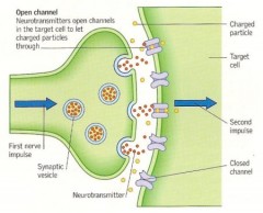 science